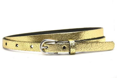 1,5 cm riem set goud - zilver 435